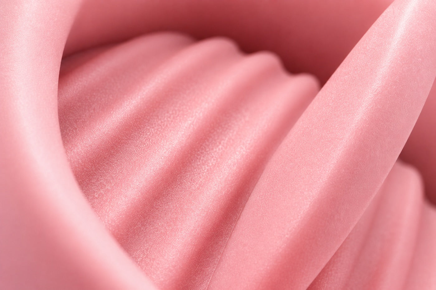 the texture